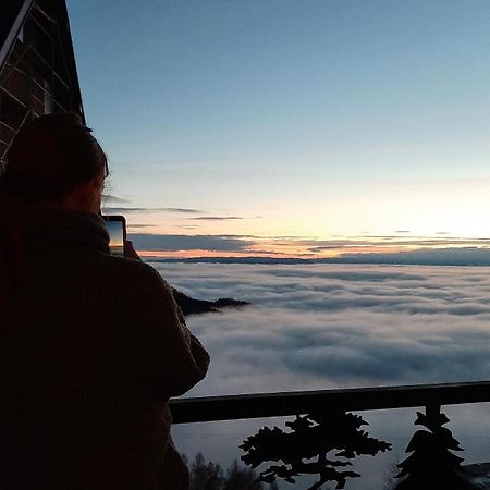 Vihor A21 Lejlighed Kopaonik Eksteriør billede